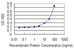 Invitrogen DEF6 Monoclonal Antibody (2D2) 100 &mu;g; Unconjugated:Antibodies,