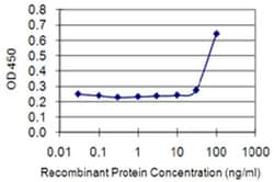 Invitrogen™ ETV3 Monoclonal Antibody (1C11)