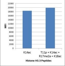 Invitrogen H3K14ac Recombinant Rabbit Monoclonal Antibody (RM130) 100 &mu;g | Buy Online | Invitrogen&trade; | Fisher Scientific