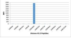 Invitrogen H3K18ac Recombinant Rabbit Monoclonal Antibody (RM166) 100 &mu;g;