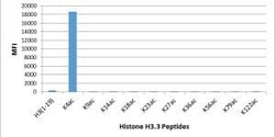 Invitrogen H3K4ac Recombinant Rabbit Monoclonal Antibody (RM149), ChIP-Verified