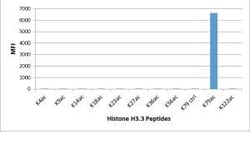 Invitrogen H3K79ac Recombinant Rabbit Monoclonal Antibody (RM156) 100 &mu;g;