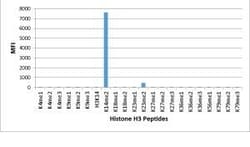 Invitrogen H3K14me2 Recombinant Rabbit Monoclonal Antibody (RM165) 100