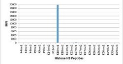 Invitrogen H3K18me1 Recombinant Rabbit Monoclonal Antibody (RM167) 100