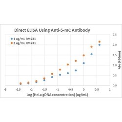 Invitrogen 5-Methylcytosine Recombinant Rabbit Monoclonal Antibody (RM231)