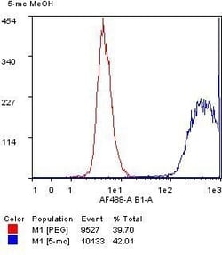Invitrogen 5-Methylcytosine Recombinant Rabbit Monoclonal Antibody (RM231)
