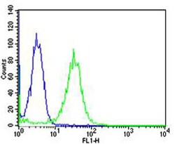 Invitrogen MAFK Monoclonal Antibody (1328CT786.105.125) 400 &mu;L; Unconjugated:Antibodies,