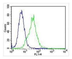 Invitrogen HINT1 Monoclonal Antibody (1500CT836.13.93) 400 &mu;L; Unconjugated:Antibodies,