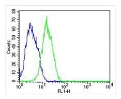 Invitrogen RAB3B Monoclonal Antibody (1543CT354.60.92) 200 &mu;L; Unconjugated:Antibodies,