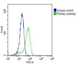 Invitrogen RAB18 Monoclonal Antibody (1573CT811.119.39) 200 &mu;L; Unconjugated:Antibodies,