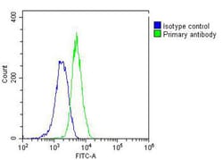 Invitrogen RAB5C Monoclonal Antibody (1616CT314.65.31) 200 &mu;L; Unconjugated:Antibodies,