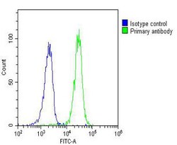 Invitrogen RASSF2 Monoclonal Antibody (1509CT269.10.9.29) 200 &mu;L; Unconjugated:Antibodies,