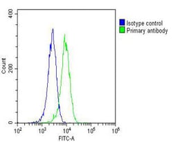 Invitrogen RAB20 Monoclonal Antibody (1694CT210.218.54) 200 &mu;L; Unconjugated:Antibodies,