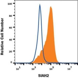 Invitrogen SIAH2 Monoclonal Antibody (24E6H3) 500 &mu;L; Unconjugated:Antibodies,