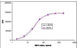 Invitrogen POLR2D Monoclonal Antibody (RB42) 200 &mu;g; Unconjugated:Antibodies,