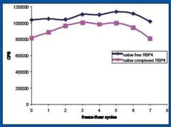 Invitrogen POLR2D Monoclonal Antibody (RB42) 200 &mu;g; Unconjugated:Antibodies,