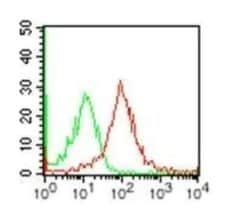 Invitrogen TCCR Monoclonal Antibody (34N4G11) 100 &mu;g; Unconjugated:Antibodies,
