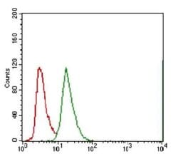 Invitrogen ABCG5 Monoclonal Antibody (1B5E10) 100 &mu;L; Unconjugated:Antibodies,