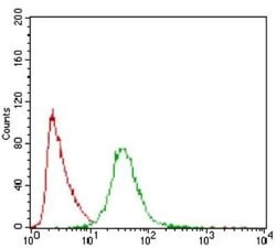 Invitrogen PON1 Monoclonal Antibody (4G8D3) 100 &mu;L; Unconjugated:Antibodies,
