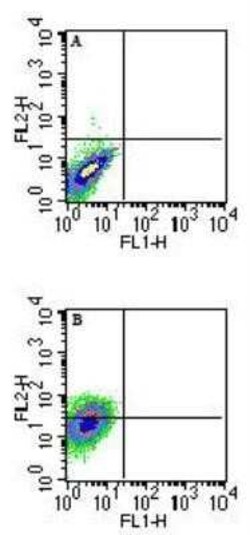 Invitrogen QA-1b Monoclonal Antibody (6A8.6F10.1A6) 100 &mu;g | Buy Online | Invitrogen&trade; | Fisher Scientific