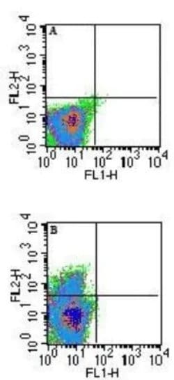 Invitrogen QA-1b Monoclonal Antibody (6A8.6F10.1A6) 100 &mu;g; Unconjugated:Antibodies,