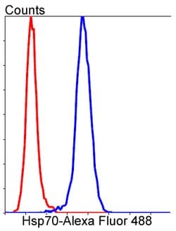 Invitrogen HSPA4 Recombinant Rabbit Monoclonal Antibody (3B3) 100 &mu;L;
