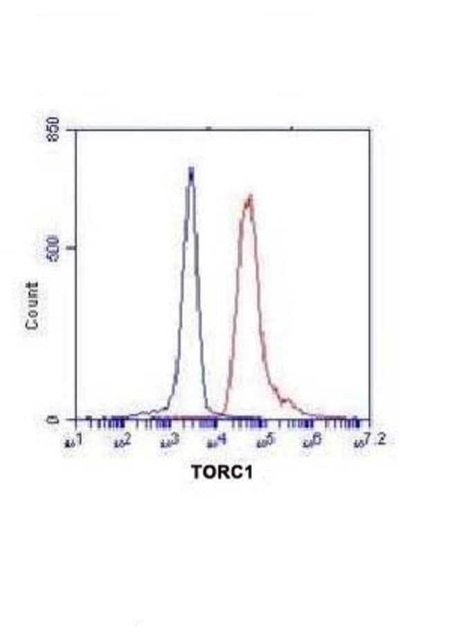 Torc1 Monoclonal Antibody (4G9), Invitrogen™ 100 μL; Unconjugated