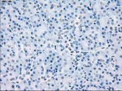 Invitrogen LTA4H Monoclonal Antibody (OTI2A9) 100 &mu;L | Buy Online | Invitrogen&trade; | Fisher Scientific