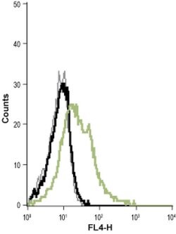 KCNN4 (extracellular) Monoclonal Antibody (6C1), Invitrogen 100 &mu;g;