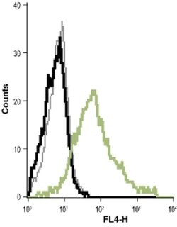 KCNN4 (extracellular) Monoclonal Antibody (6C1), Invitrogen 100 &mu;g;