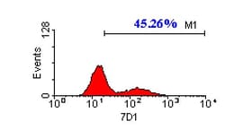 CACNB3 Monoclonal Antibody (7D1), Invitrogen 100 &mu;L; Unconjugated:Antibodies,