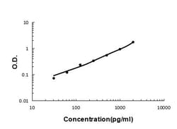 Invitrogen PI3 Monoclonal Antibody (C7) 100 &mu;g; Unconjugated:Antibodies,
