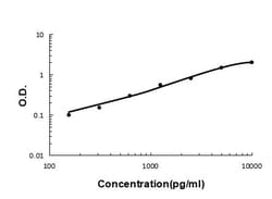 Invitrogen PON1 Monoclonal Antibody (9D3) 100 &mu;g; Unconjugated:Antibodies,