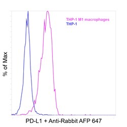 Invitrogen PD-L1 (CD274) Recombinant Rabbit Monoclonal Antibody (RM320) 100 &mu;L | Buy Online | Invitrogen&trade; | Fisher Scientific