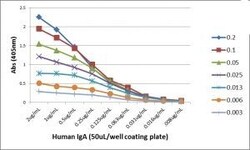 Invitrogen Rabbit anti-Human IgA1/IgA2 Recombinant Secondary Antibody,