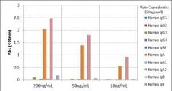 Invitrogen™ Rabbit anti-Human IgA2 Recombinant Secondary Antibody, Biotin