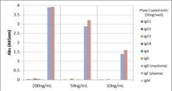Invitrogen™ Rabbit anti-Human IgE Recombinant Secondary Antibody, Biotin