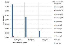 Invitrogen Rabbit anti-Human IgG1 Recombinant Secondary Antibody, Biotin