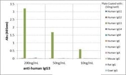 Invitrogen Rabbit anti-Human IgG3 Recombinant Secondary Antibody, Biotin