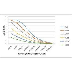 Invitrogen Rabbit anti-Human Ig (Light chain) Recombinant Secondary Antibody