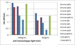 Invitrogen™ Rabbit anti-Human Kappa Light Chain Recombinant Secondary Antibody, Biotin