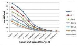 Invitrogen Rabbit anti-Human Kappa Light Chain Recombinant Secondary Antibody,