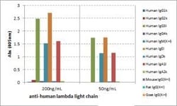 Invitrogen™ Rabbit anti-Human Lambda Light Chain Recombinant Secondary Antibody, Biotin
