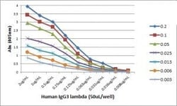 Invitrogen Rabbit anti-Human Lambda Light Chain Recombinant Secondary Antibody,