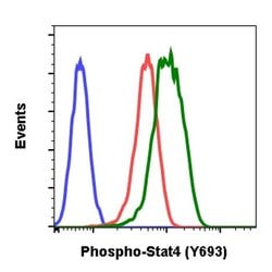 Phospho-Stat4 (Tyr693) Recombinant Rabbit Monoclonal Antibody (Stat4Y693-F6),