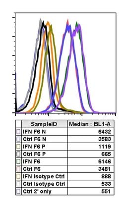Phospho-Stat4 (Tyr693) Recombinant Rabbit Monoclonal Antibody (Stat4Y693-F6),