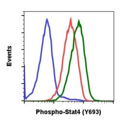 Phospho-Stat4 (Tyr693) Recombinant Rabbit Monoclonal Antibody (Stat4Y693-F6),