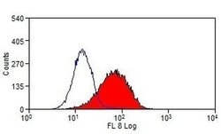 Invitrogen TIM-4 Monoclonal Antibody (RMT4-54) 100 &mu;g; Unconjugated:Antibodies,