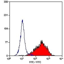 Invitrogen Fibroblasts/Epithelial Cells Monoclonal Antibody (D7-FIB) 200