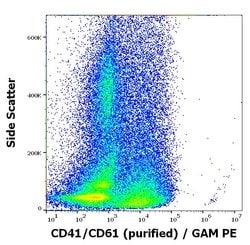 Invitrogen DUSP2 Monoclonal Antibody (PAC-1) 100 &mu;g; Unconjugated:Antibodies,